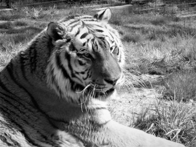 Foto: Nastja Litwenienko, Tierpark Chemnitz